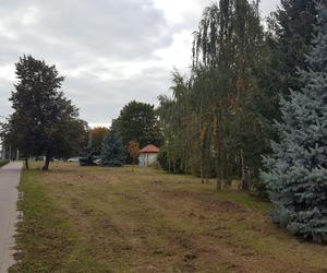 Park Jonstona w Lesznie będzie większy. Zmienić może się nie tylko to miejsce