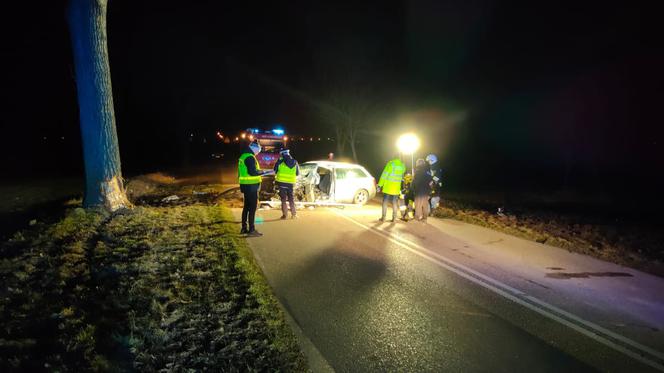 Koszmarny wypadek koło Żnina. Nie żyje kierowca audi