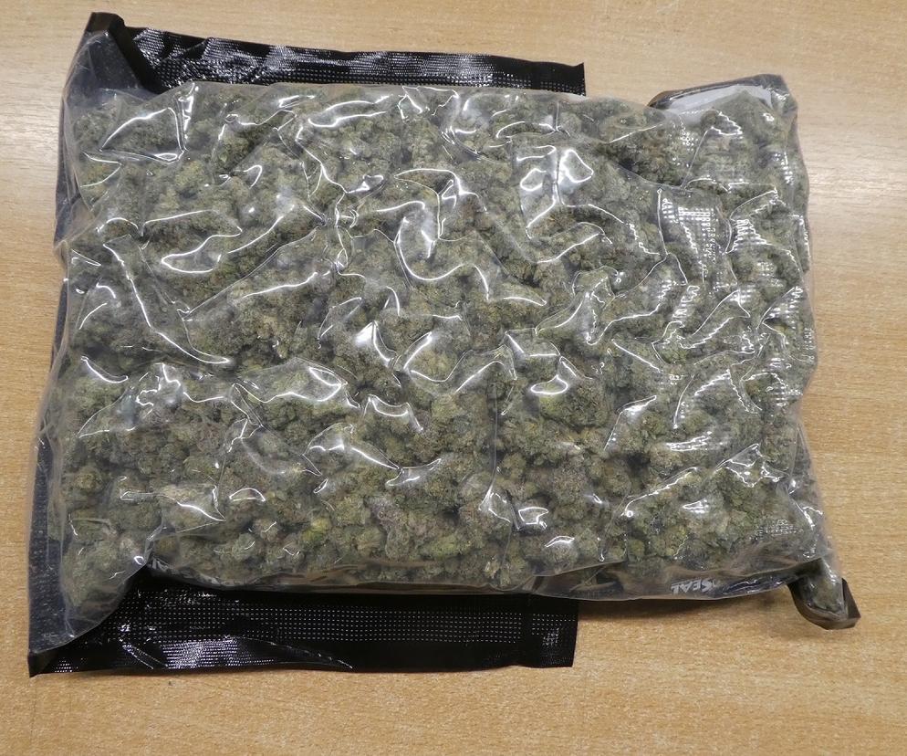 Funkcjonariusze KAS zabezpieczyli przesyłkę z ponad 450 g marihuany