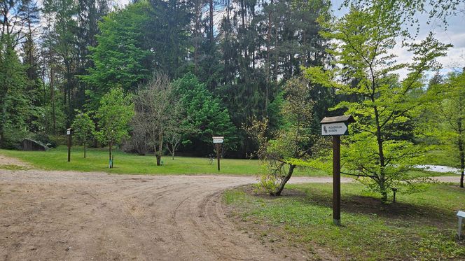 Odwiedziłem kultowe miejsce, gdzie odbywa się co druga sesja foto w Podlaskiem. Czy jest przereklamowane?