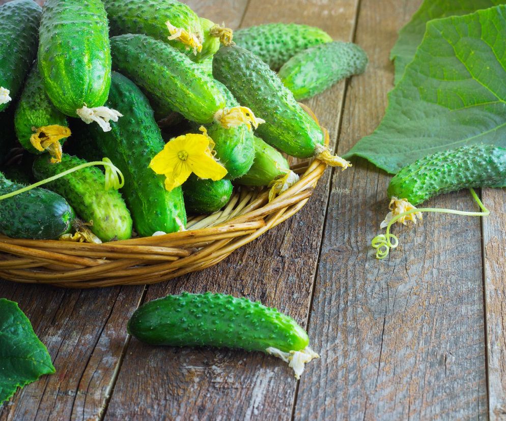 Ogórki po kozacku – ognisty przepis na wyraziste przetwory z ogórków, które robią wrażenie