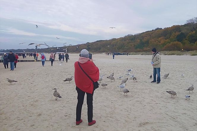 Kołobrzeg po sezonie