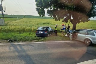 Wypadek niedaleko Gostynia. Kobieta zasnęła za kółkiem