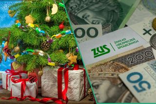 Kolejne świadczenie dla seniorów? ZUS szykuje 15. emeryturę! Znamy termin wypłaty