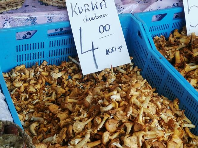 Ile kosztują grzyby w Krakowie? Ceny na targowiskach przyprawiają o zawrót głowy