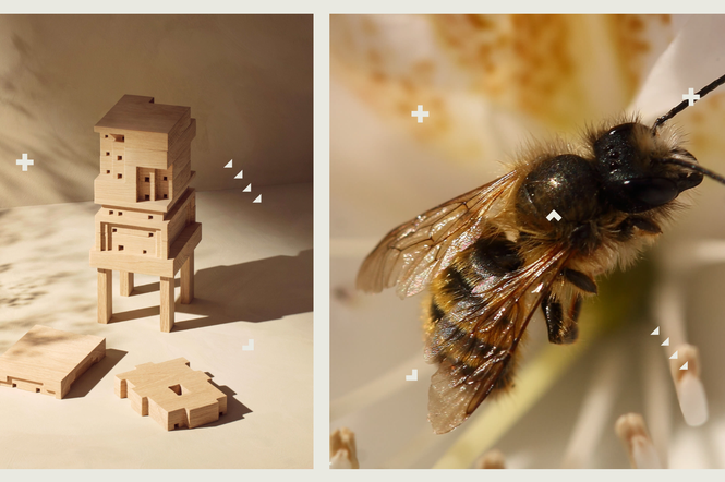 Zaprojektuj domek i zaproś do siebie pszczoły samotnice