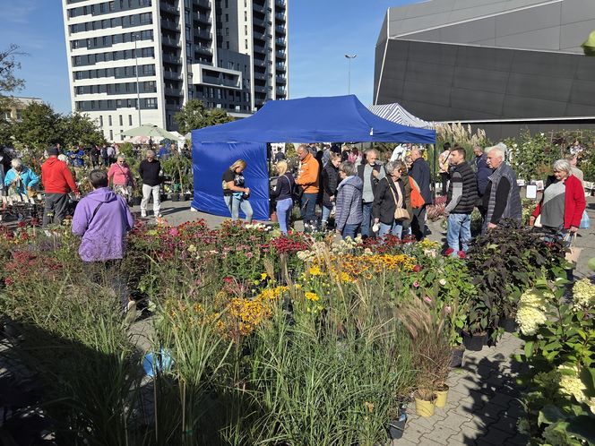Jesienny Kiermasz Ogrodniczy w Bydgoszczy przyciągnął miłośników zieleni i smakołyków!