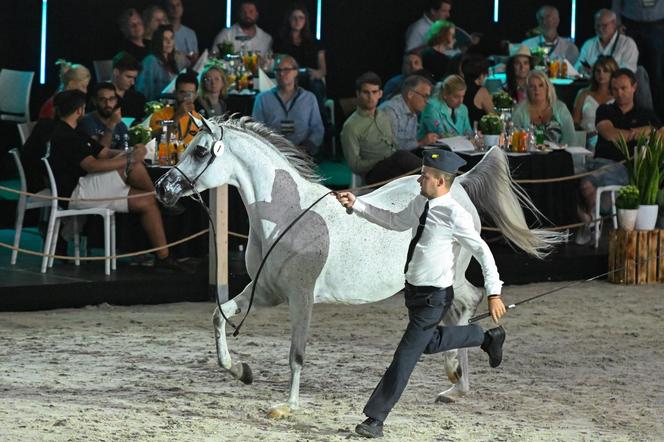 Porażka Pride of Poland 2024? Zyski są zdecydowanie niższe niż rok temu