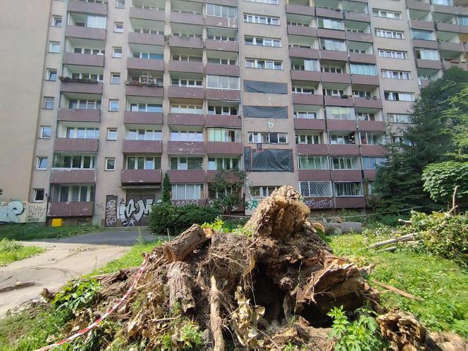 Wielkie drzewo runęło im na blok. „Widziałam, jak na mnie leci!”