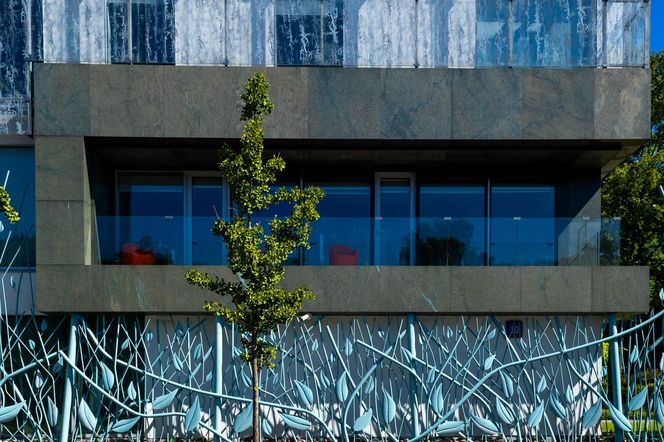 Ambasada Niderlandów w Warszawie