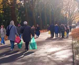 1 listopada na Cmentarzu Centralnym w Szczecinie