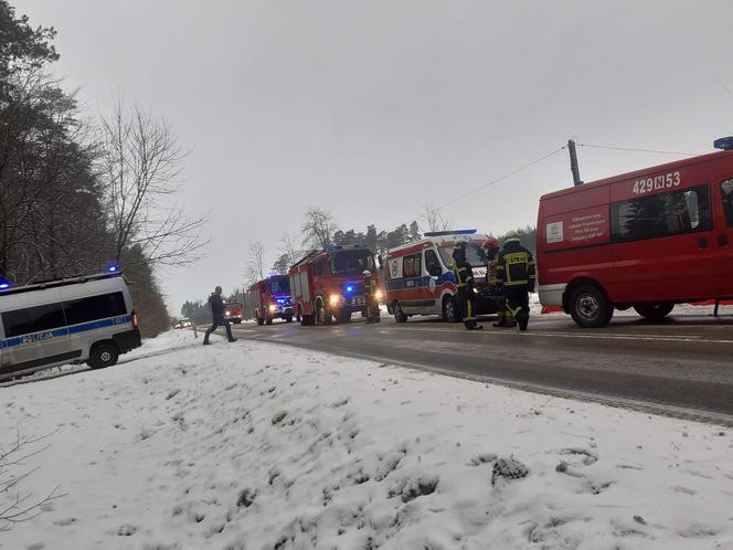 Śmiertelny wypadek w Lidzbarku. Bus uderzył w drzewo. Nie żyje młoda kobieta