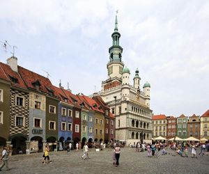 W tych województwach jest najwięcej miast. Lider rankingu zaskakuje