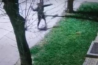 Dźwięk tłuczonej szyby poderwał na nogi policjantów! Groza w komendzie. Nagranie mówi wszystko