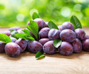 Co można zrobić ze śliwek? Pomysły na śliwkowe przetwory!