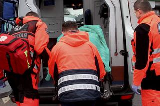 przez jeża miała wypadek