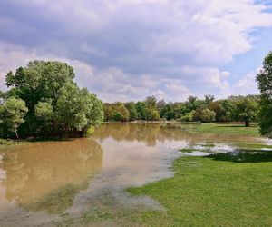 Warta w Łódzkiem powyżej stanu ostrzegawczego. Sprawdzą się prognozy IMGW?