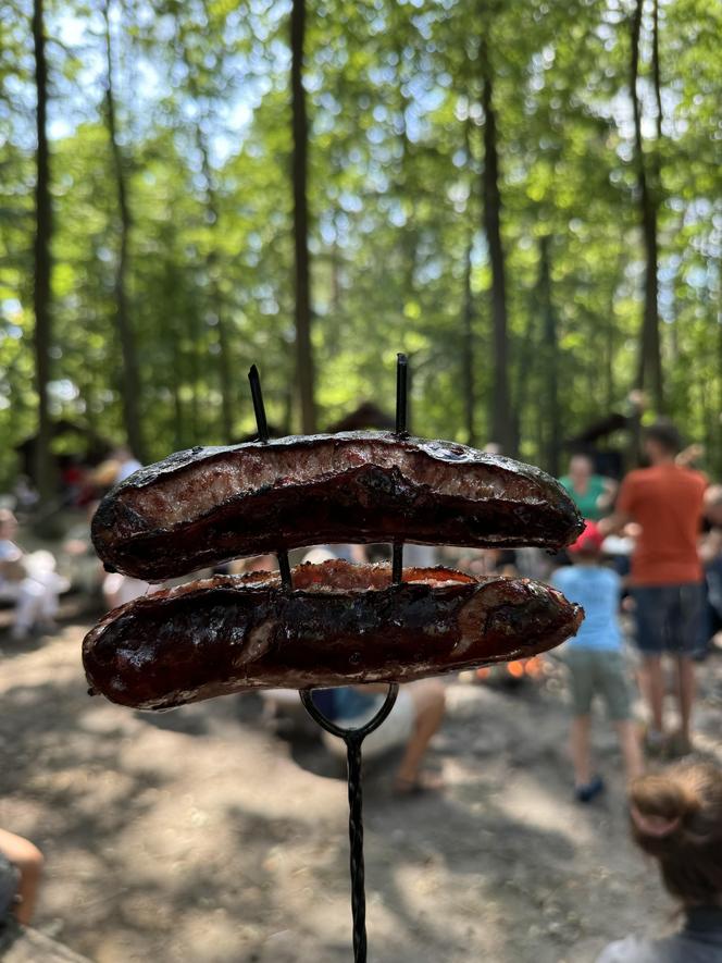 Kolejka Wąskotorowa w Piasecznie