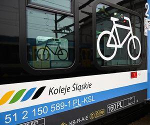 Pociągiem po Śląsku za 10 zł? Wakacyjna promocja Kolei Śląskich