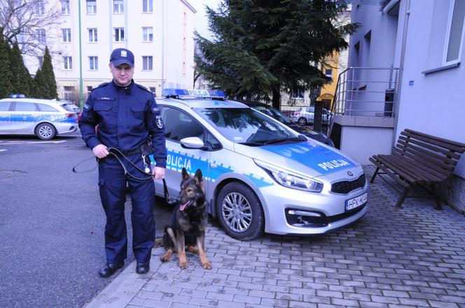 Funkcjonariusze na czterech łapach zaczynają służbę! Poznajcie Naba i Barego [ZDJĘCIA]