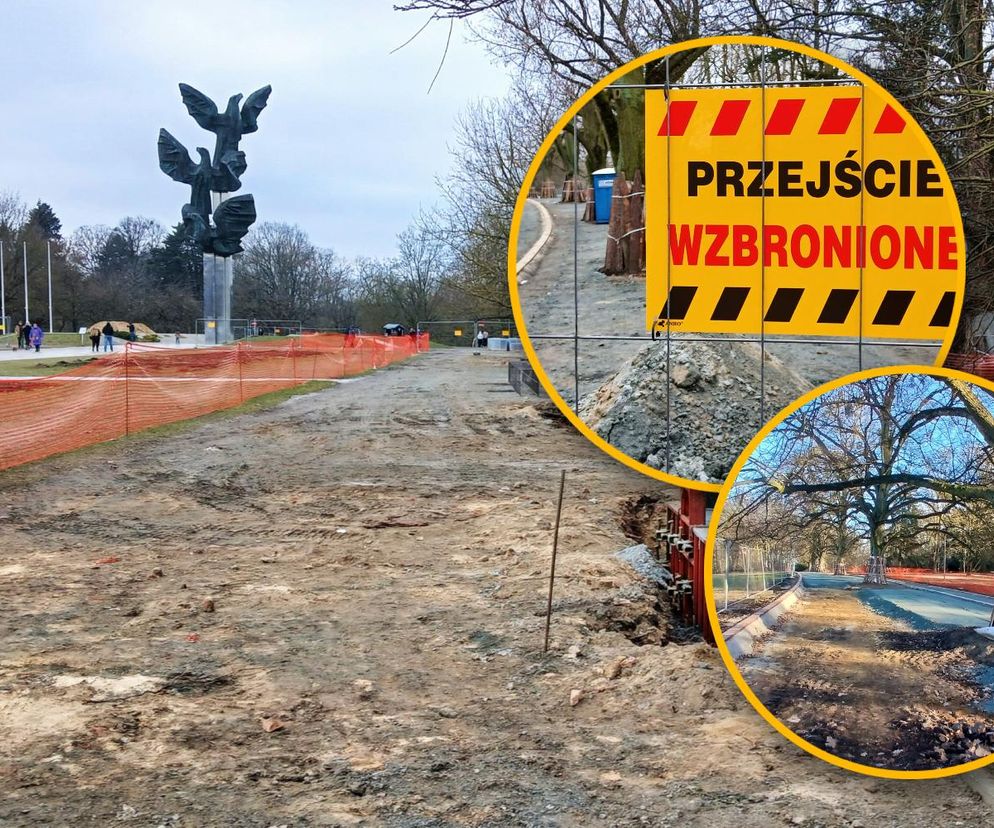 Przebudowa alei Fałata w Parku Kasprowicza