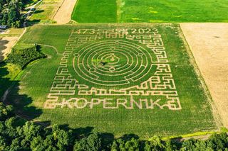 Labirynt w Kurozwękach