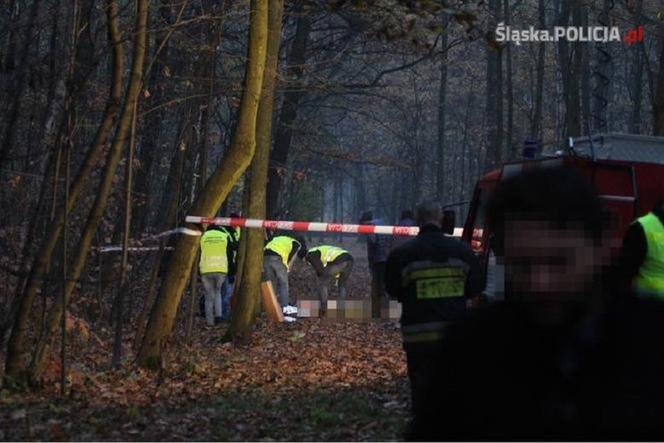 Katowice. Morderstwo w Parku Kościuszki