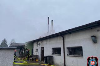 Pożar w podbydgoskiej Brzozie. Zapalił się dach stolarni [ZDJĘCIA]