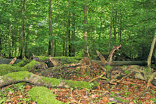 Miejsca piękne z natury
