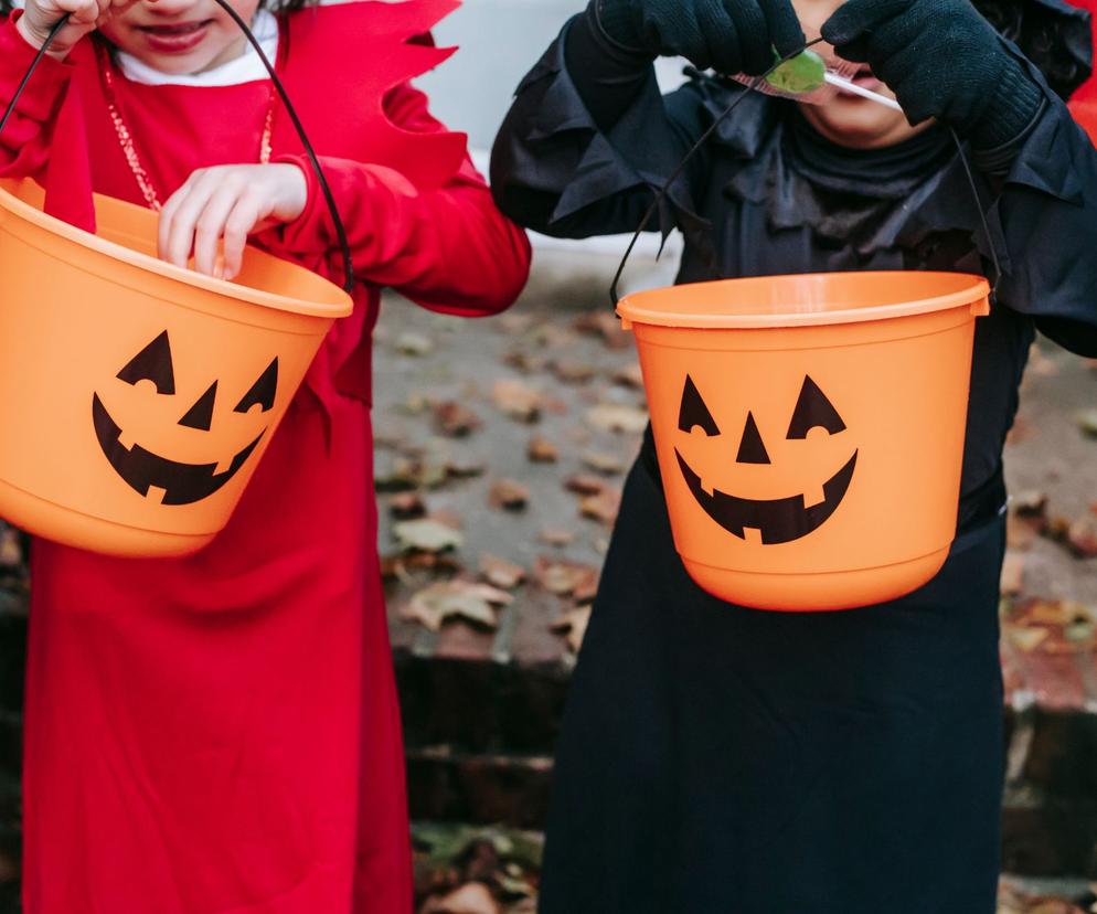 Czy można zbierać cukierki w Halloween 2022? Czy można obchodzić Halloween w Polsce?