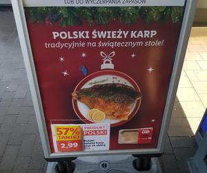 Ceny karpia w Białymstoku 2023. Ile zapłacimy za kilogram ryby w Podlaskiem?