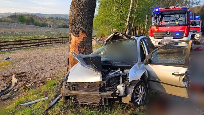 Na prostej zjechał z drogi i uderzył w drzewo