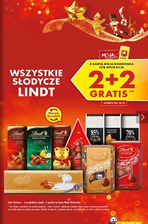 Biedronka promocje