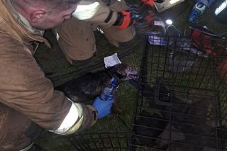 Zblewo. Bohaterska interwencja strażaków. Uratowali z pożaru cztery osoby i psa [ZDJĘCIA]