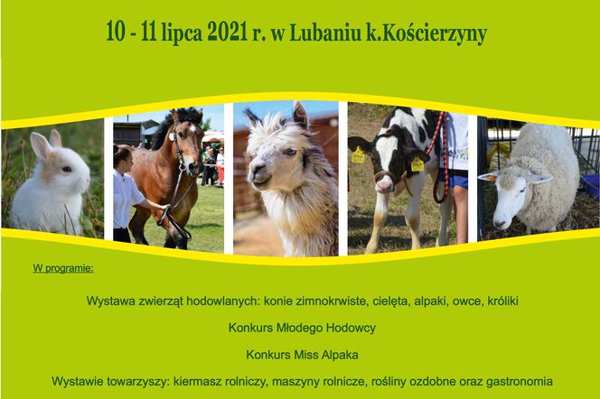 Pomorska Wojewódzka Wystawa Zwierząt Hodowlanych w Lubaniu 