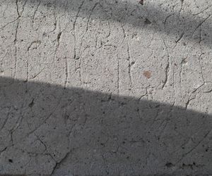 To wyjątkowy symbol miasta pod Olsztynem. Na jego szczycie znajduje się… gniazdo