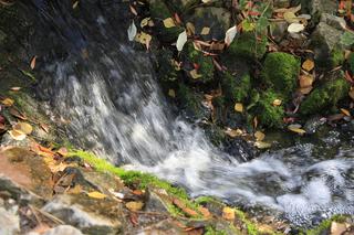 Spacer po jesiennych Ogrodzie Botanicznym w Lublinie