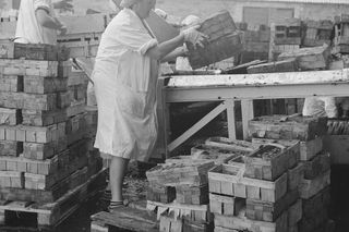 Mazowieckie Zakłady Przetwórstwa Owocowo-Warzywnego w Tarczynie (1976 r.)