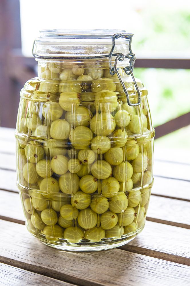 Wino z agrestu - przepis na wino deserowe
