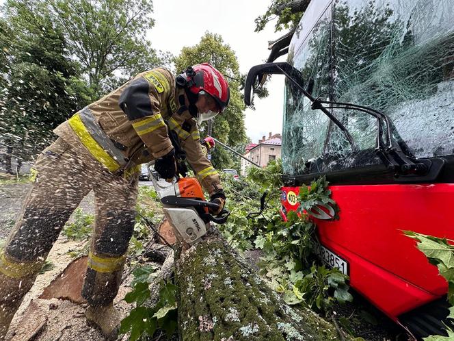 Drzewo przewróciło się na miejski autobus. Są osoby poszkodowane