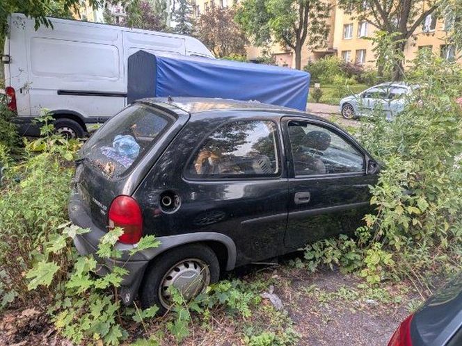 Kaczki uwięzione w blaszanej pułapce