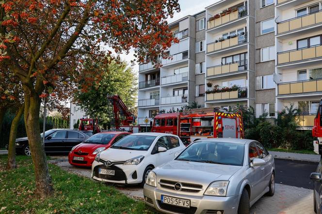 Pożar w bloku w Ostrowie Wielkopolskim. Nie żyje jedna osoba, 10 jest rannych