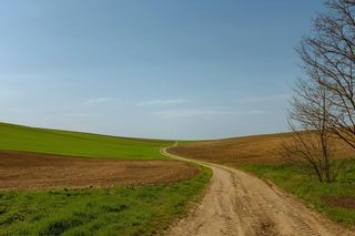 W tej wsi w woj. lubelskim znajduje się „pole zjawienia”
