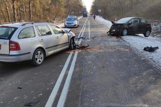 Czołowe zderzenie aut w woj. lubelskim. Jedna osoba trafiła do szpitala