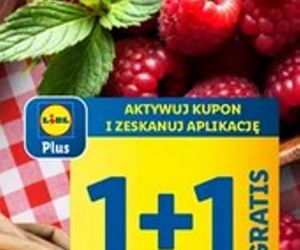 Lidl - promocje na długi weekend