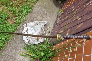 Szokujące okoliczności masakry mieczem samurajskim 