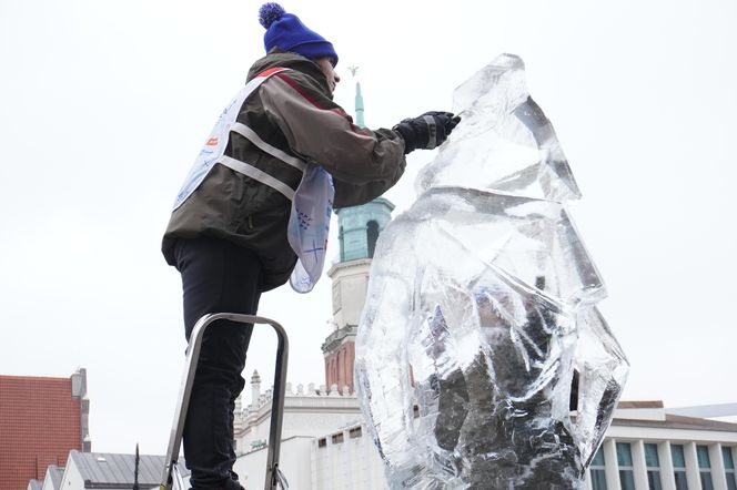 Poznań Ice Festival 2024 