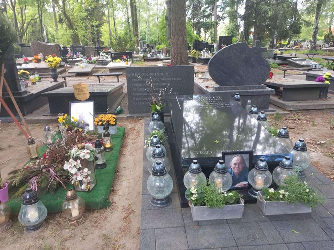 Aleja Zasłużonych Doły
