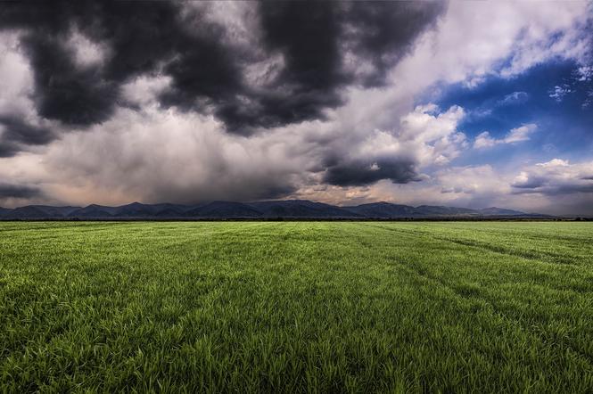 Porywisty wiatr nad morzem, wyż znad Łotwy i jeszcze to! IMGW zapowiada środę [Prognoza pogody 13.04.2022]