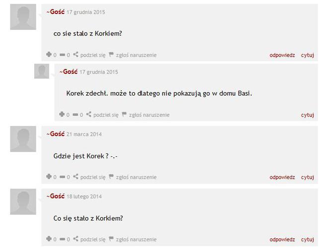 Na Wspólnej, pies Korek